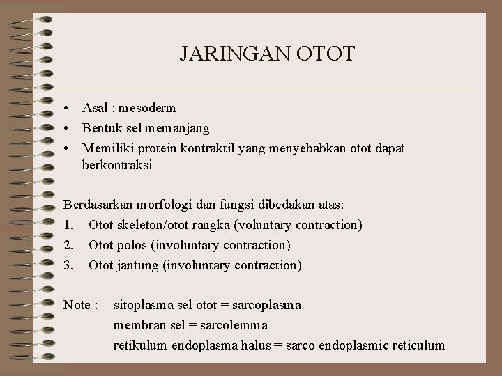 JARINGAN OTOT • Asal : mesoderm • Bentuk sel memanjang • Memiliki protein kontraktil JARINGAN OTOT • Asal : mesoderm • Bentuk sel memanjang • Memiliki protein kontraktil