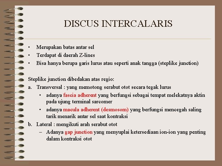 DISCUS INTERCALARIS • • • Merupakan batas antar sel Terdapat di daerah Z-lines Bisa DISCUS INTERCALARIS • • • Merupakan batas antar sel Terdapat di daerah Z-lines Bisa