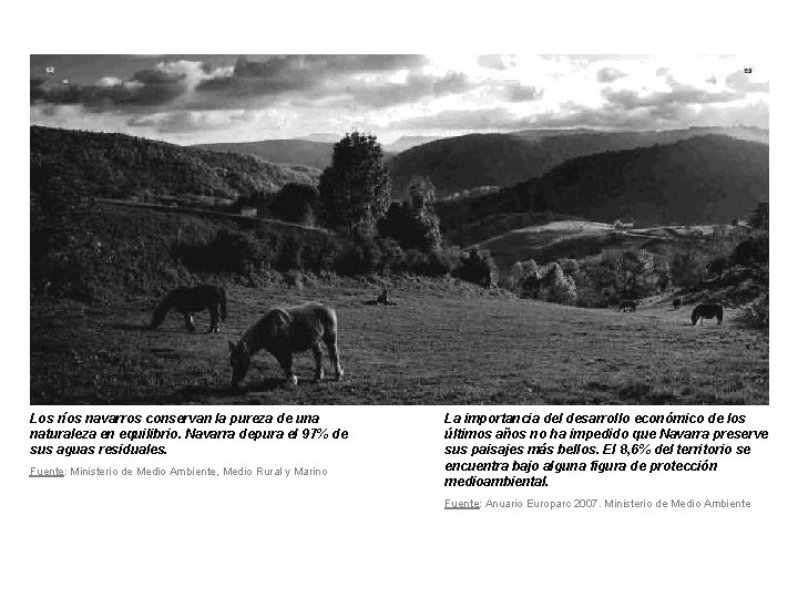 Los ríos navarros conservan la pureza de una naturaleza en equilibrio. Navarra depura el