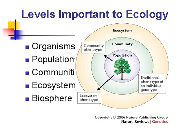 Levels Important to Ecology Organisms n Populations n Communities n Ecosystems n Biosphere n