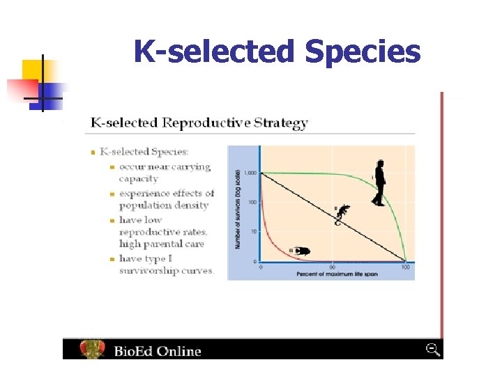 K-selected Species 