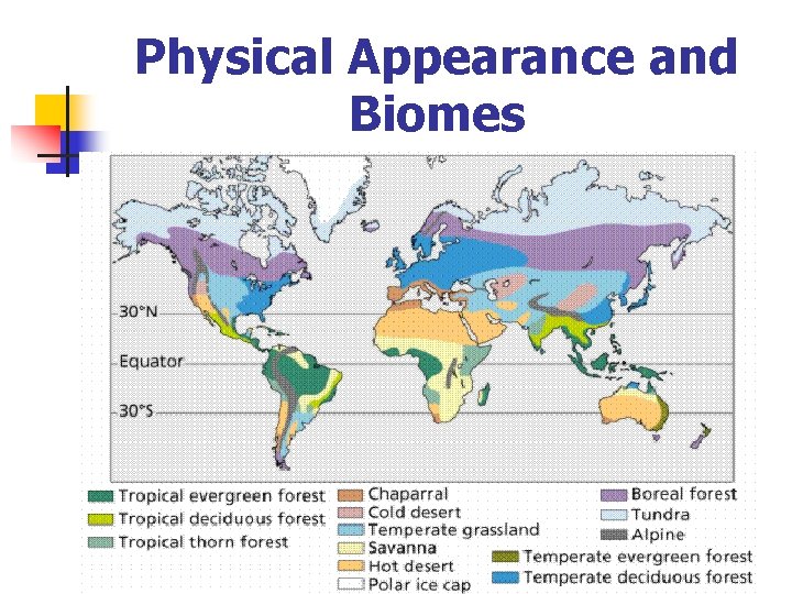 Physical Appearance and Biomes 