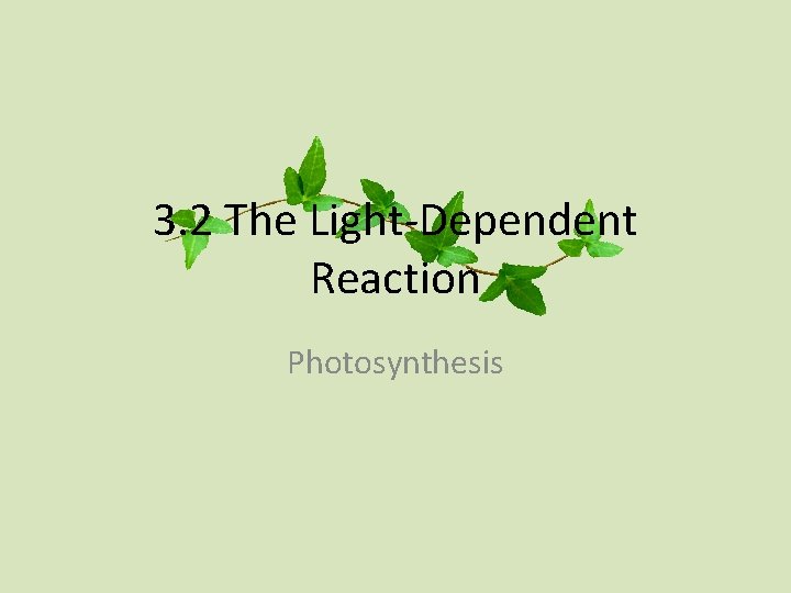 3. 2 The Light-Dependent Reaction Photosynthesis 