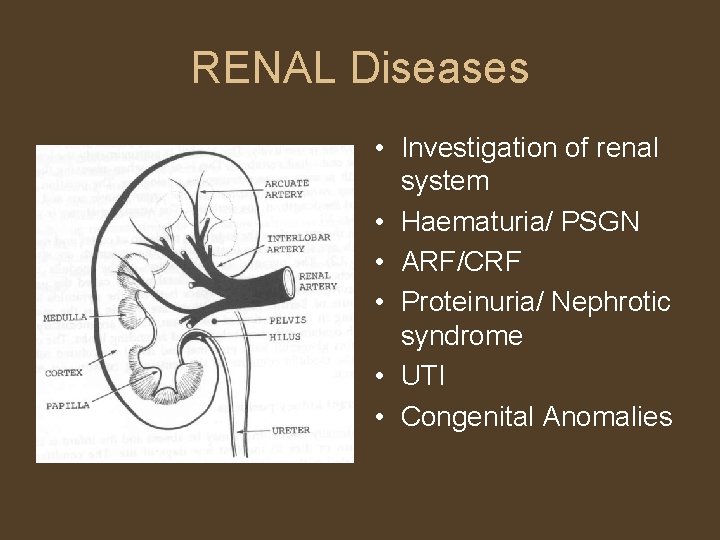 RENAL Diseases • Investigation of renal system • Haematuria/ PSGN • ARF/CRF • Proteinuria/