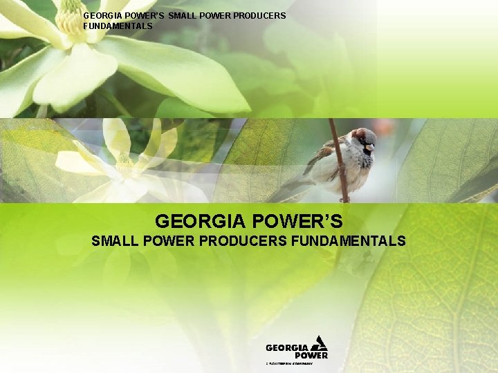 GEORGIA POWER’S SMALL POWER PRODUCERS FUNDAMENTALS 