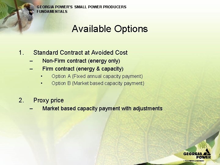 GEORGIA POWER’S SMALL POWER PRODUCERS FUNDAMENTALS Available Options 1. Standard Contract at Avoided Cost