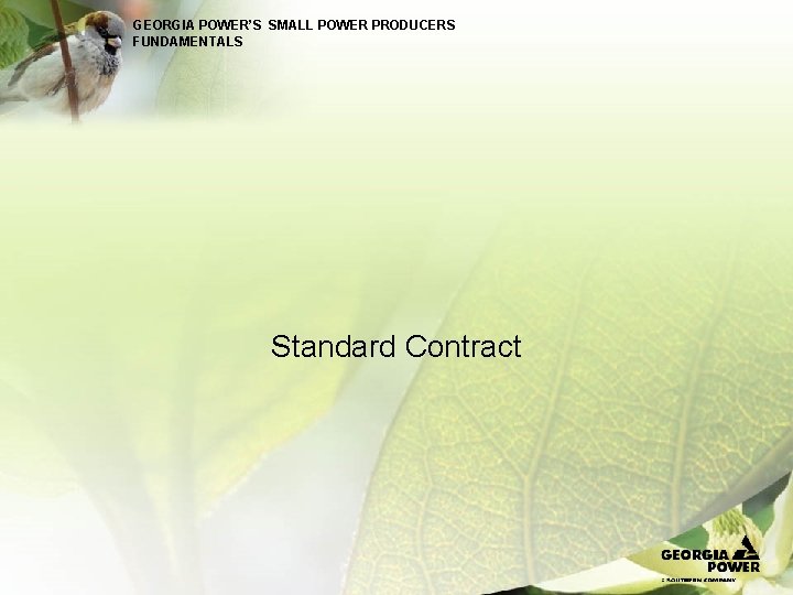 GEORGIA POWER’S SMALL POWER PRODUCERS FUNDAMENTALS Standard Contract 