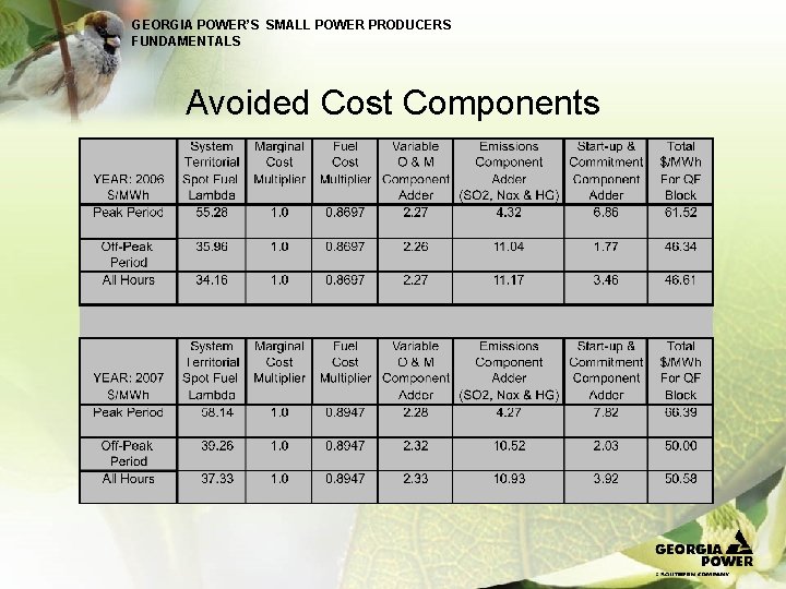GEORGIA POWER’S SMALL POWER PRODUCERS FUNDAMENTALS Avoided Cost Components 
