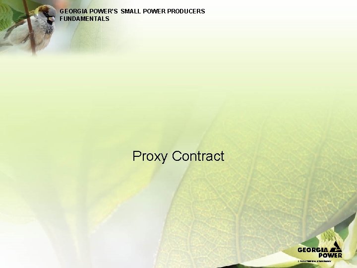 GEORGIA POWER’S SMALL POWER PRODUCERS FUNDAMENTALS Proxy Contract 