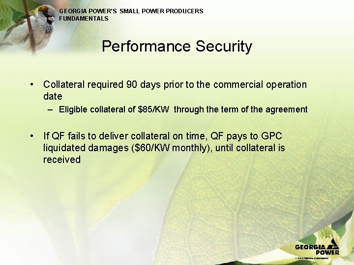 GEORGIA POWER’S SMALL POWER PRODUCERS FUNDAMENTALS Performance Security • Collateral required 90 days prior