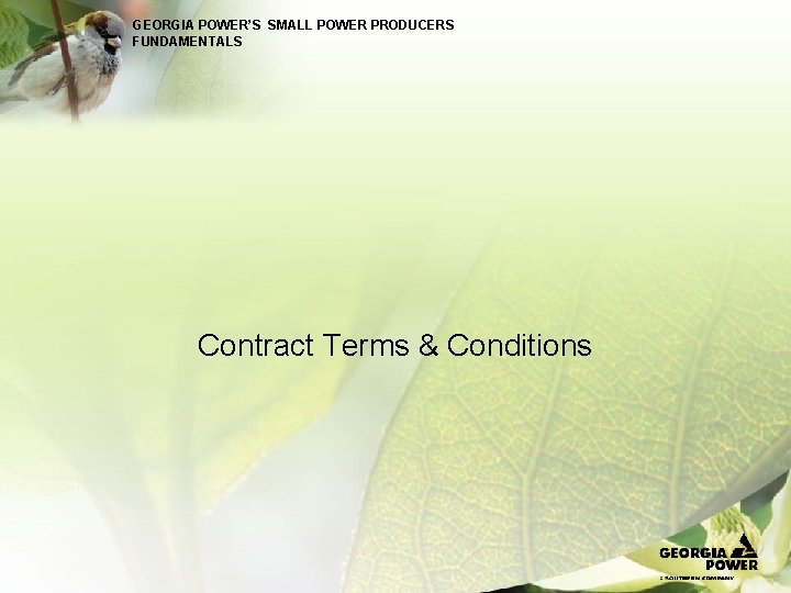 GEORGIA POWER’S SMALL POWER PRODUCERS FUNDAMENTALS Contract Terms & Conditions 