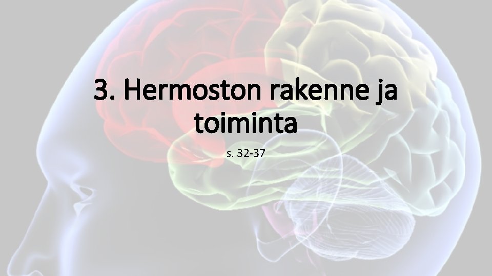 3. Hermoston rakenne ja toiminta s. 32 -37 