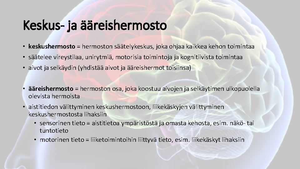 Keskus- ja ääreishermosto • keskushermosto = hermoston säätelykeskus, joka ohjaa kaikkea kehon toimintaa •