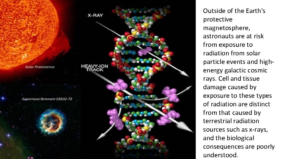 Outside of the Earth's protective magnetosphere, astronauts are at risk from exposure to radiation