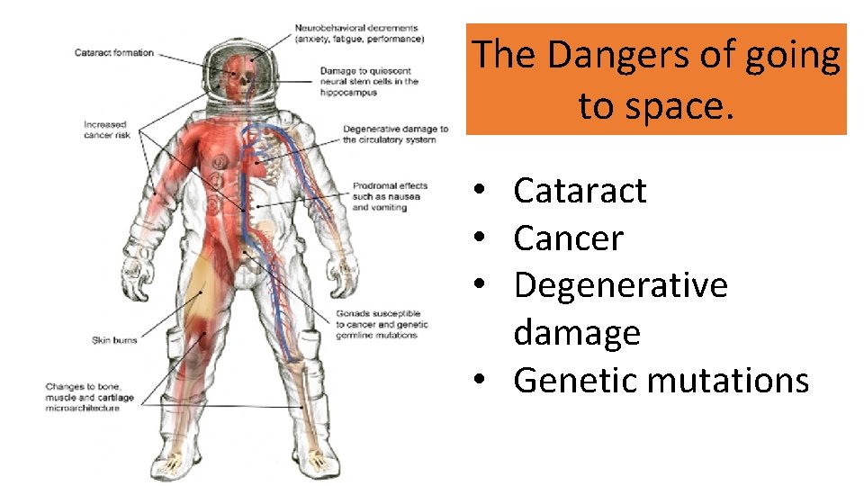 The Dangers of going to space. • Cataract • Cancer • Degenerative damage •
