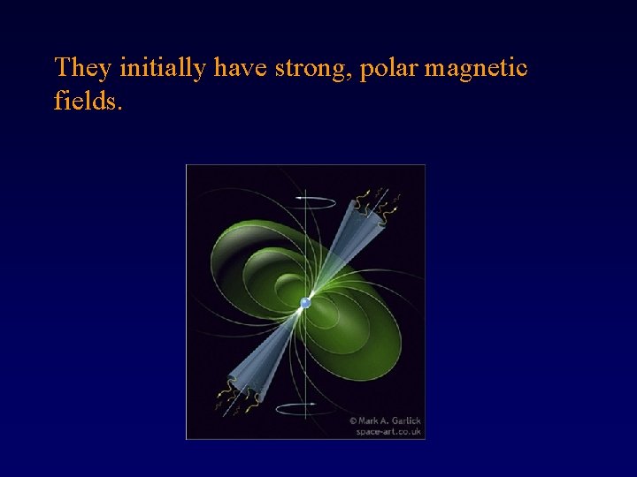They initially have strong, polar magnetic fields. 