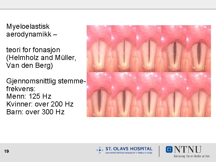 Myeloelastisk aerodynamikk – teori for fonasjon (Helmholz and Müller, Van den Berg) Gjennomsnittlig stemmefrekvens: