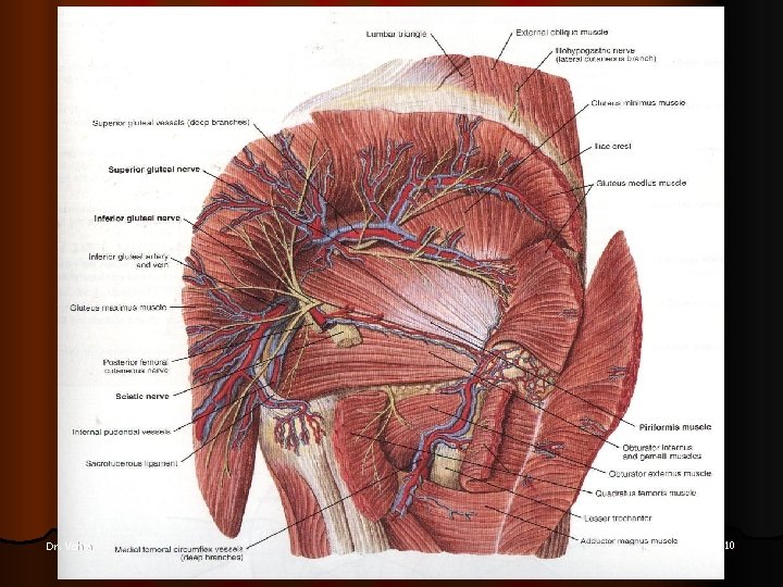 Dr. Vohra 10 