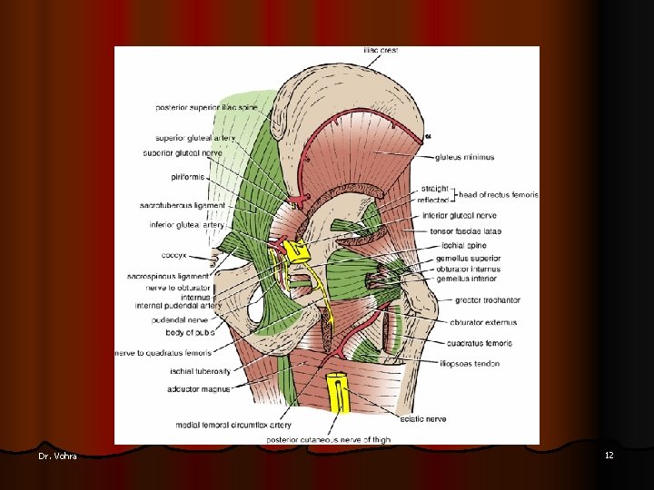 Dr. Vohra 12 