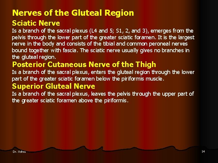 Nerves of the Gluteal Region Sciatic Nerve Is a branch of the sacral plexus