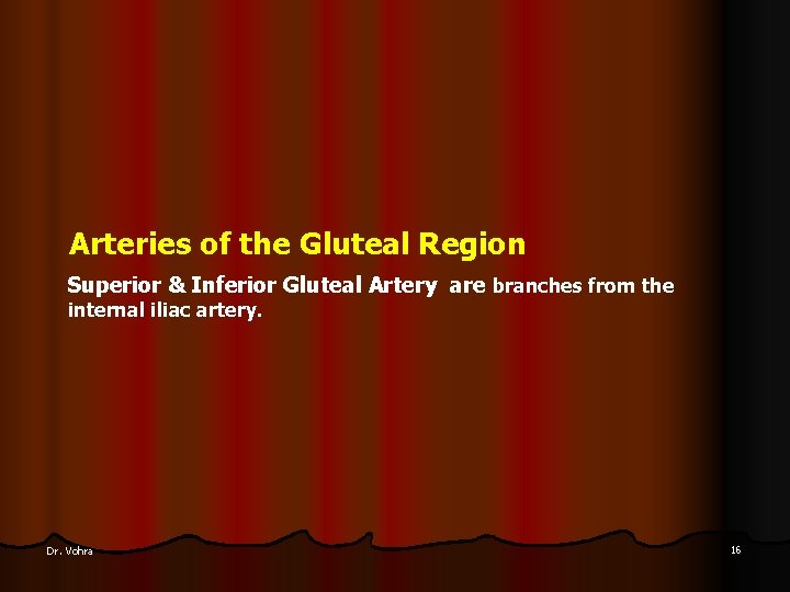 Arteries of the Gluteal Region Superior & Inferior Gluteal Artery are branches from the