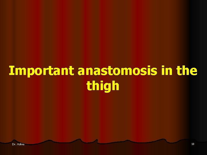 Important anastomosis in the thigh Dr. Vohra 18 