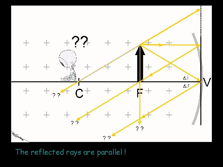 The reflected rays are parallel ! 