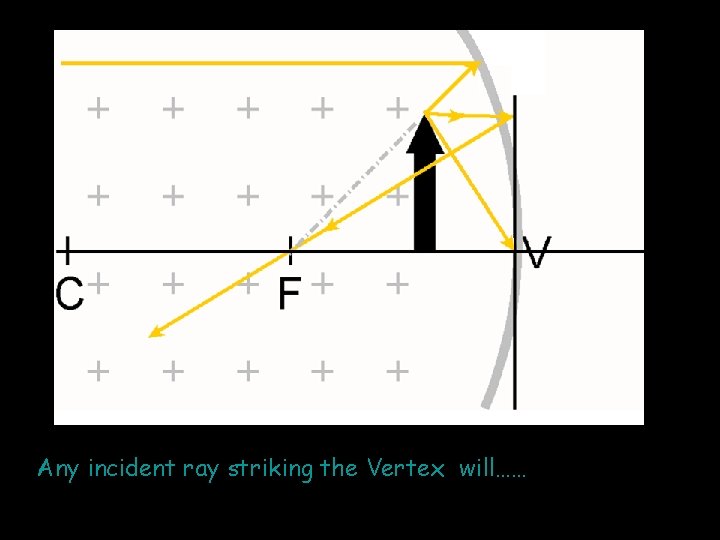 Any incident ray striking the Vertex will…… 