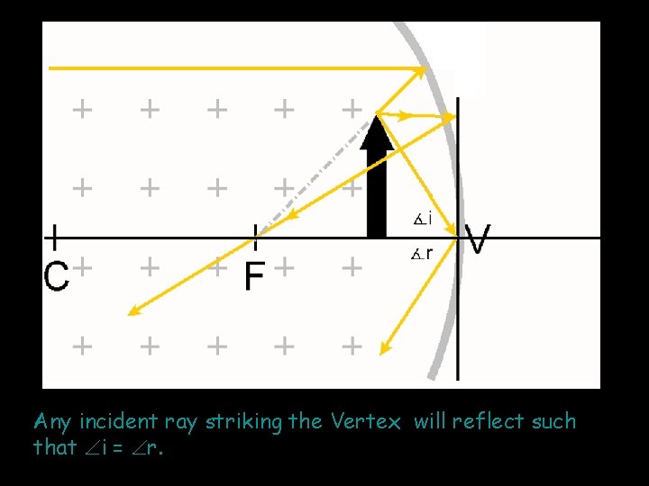 Any incident ray striking the Vertex will reflect such that i = r. 