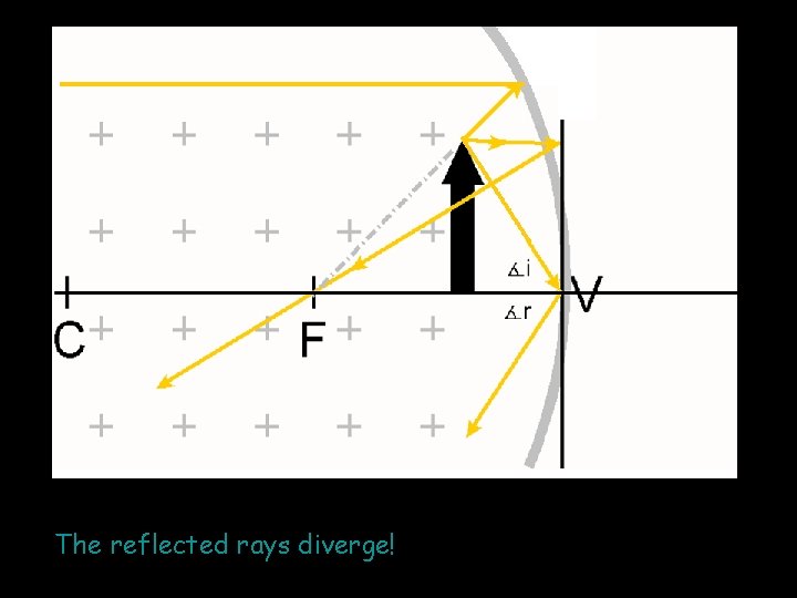 The reflected rays diverge! 