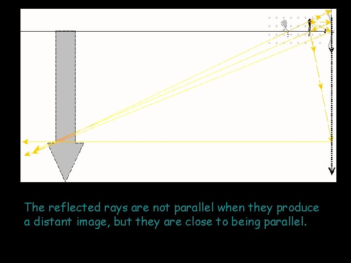 The reflected rays are not parallel when they produce a distant image, but they