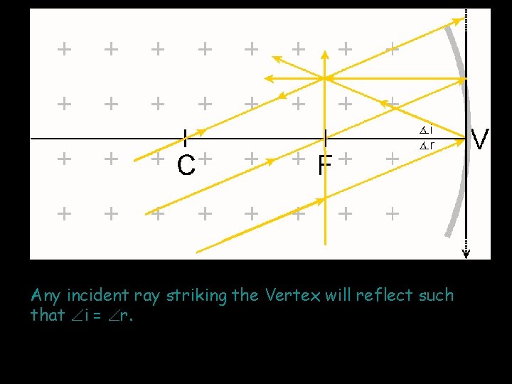 Any incident ray striking the Vertex will reflect such that i = r. 