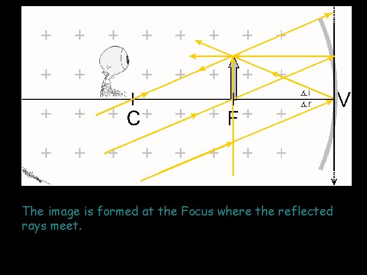 The image is formed at the Focus where the reflected rays meet. 