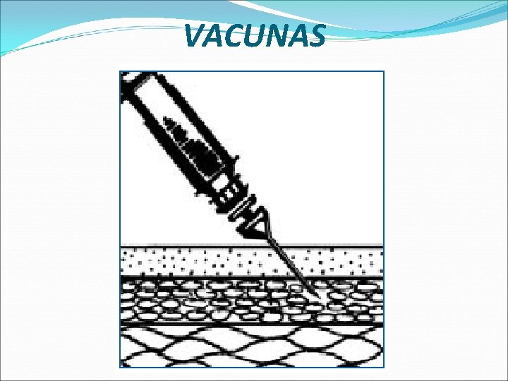 VACUNAS 