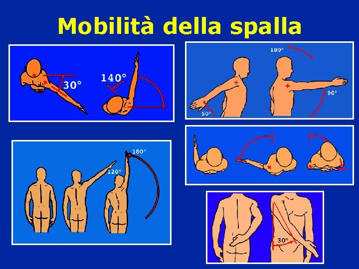 Mobilità della spalla Mobilità della spalla