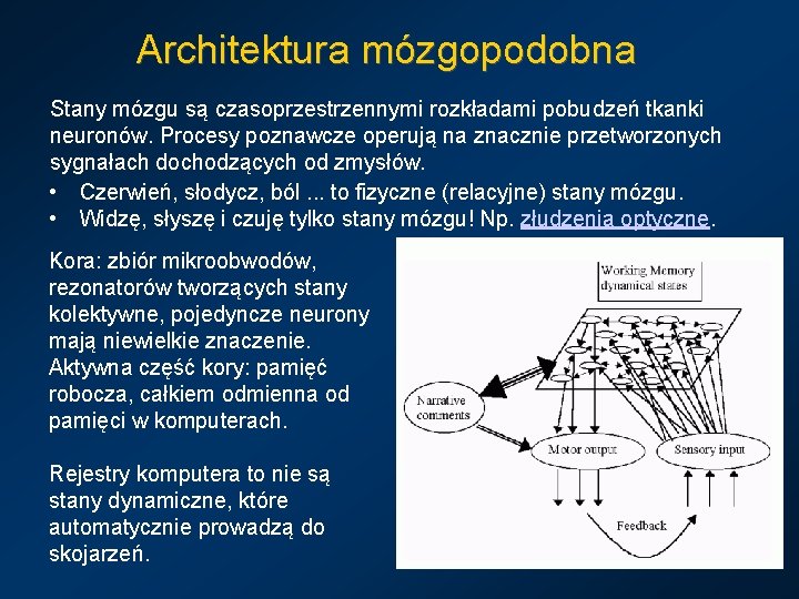 Architektura mózgopodobna Stany mózgu są czasoprzestrzennymi rozkładami pobudzeń tkanki neuronów. Procesy poznawcze operują na