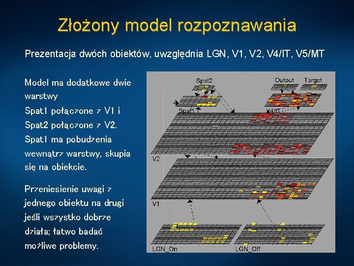 Złożony model rozpoznawania Prezentacja dwóch obiektów, uwzględnia LGN, V 1, V 2, V 4/IT,