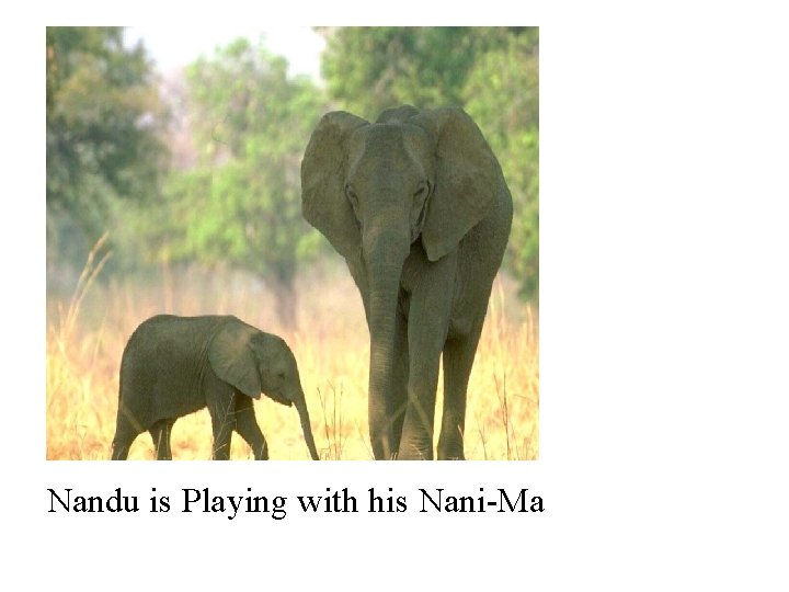 Nandu is Playing with his Nani-Ma 