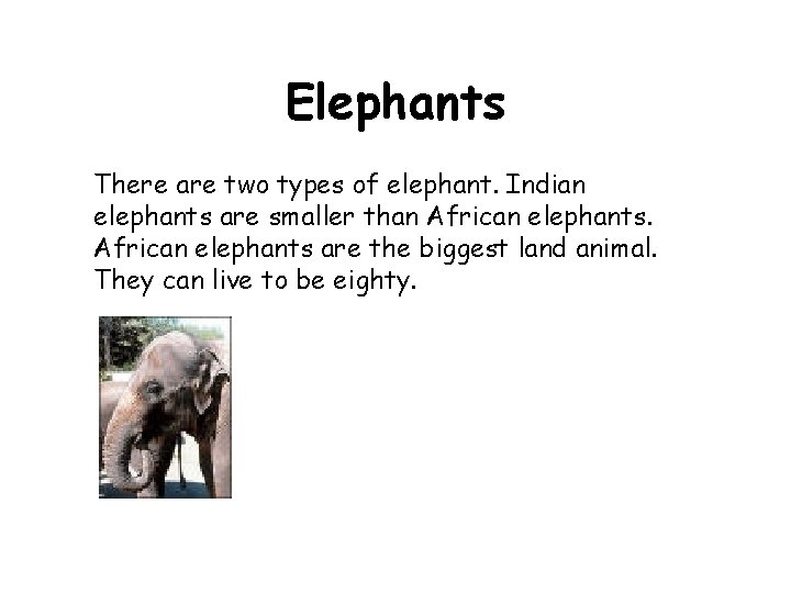 Elephants There are two types of elephant. Indian elephants are smaller than African elephants