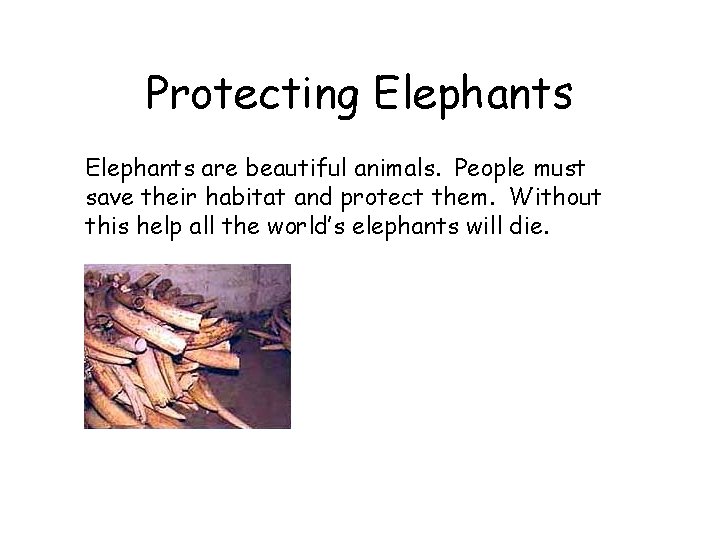 Protecting Elephants are beautiful animals. People must save their habitat and protect them. Without