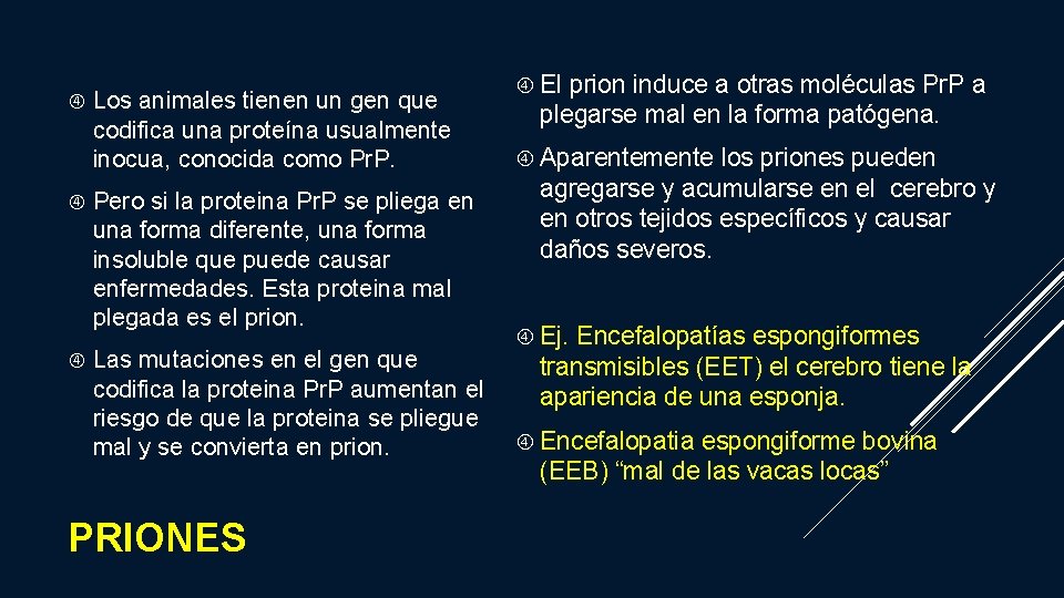  Los animales tienen un gen que codifica una proteína usualmente inocua, conocida como