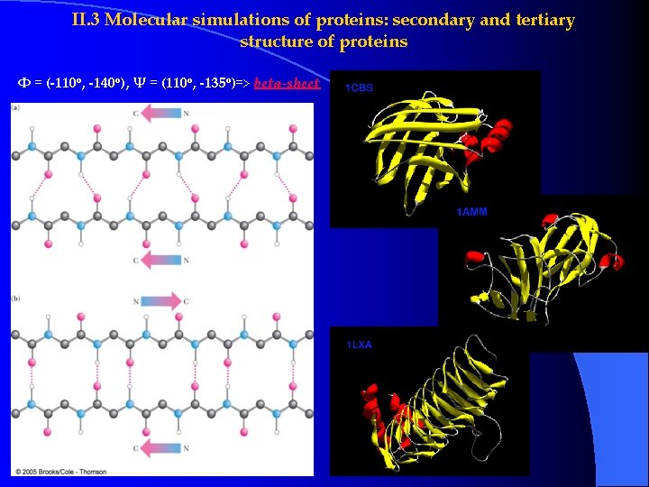 II. 3 Molecular simulations of proteins: secondary and tertiary structure of proteins Φ = II. 3 Molecular simulations of proteins: secondary and tertiary structure of proteins Φ =