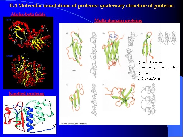 II. 4 Molecular simulations of proteins: quaternary structure of proteins Alpha-beta folds Multi-domain proteins II. 4 Molecular simulations of proteins: quaternary structure of proteins Alpha-beta folds Multi-domain proteins