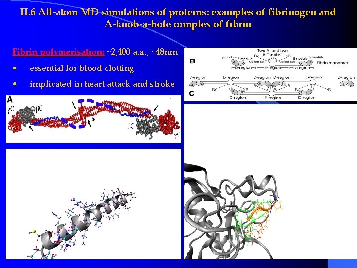 II. 6 All-atom MD simulations of proteins: examples of fibrinogen and A-knob-a-hole complex of II. 6 All-atom MD simulations of proteins: examples of fibrinogen and A-knob-a-hole complex of