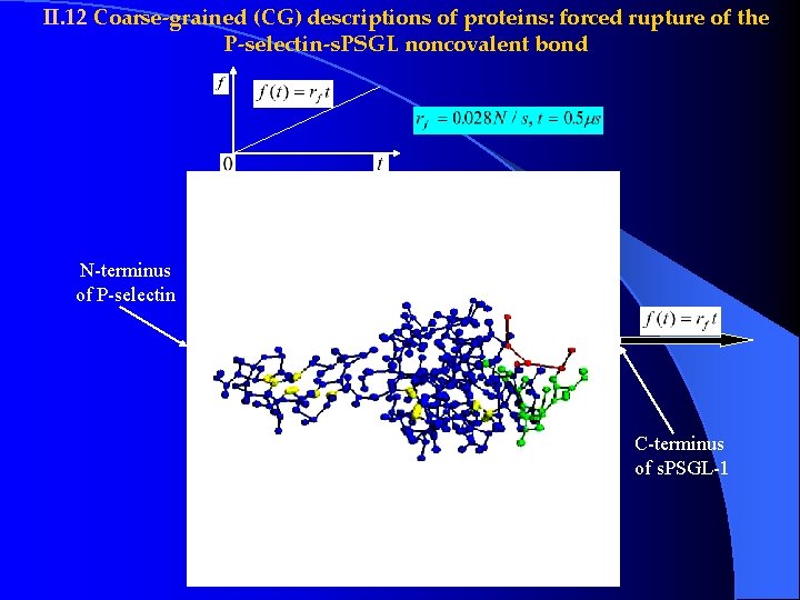 II. 12 Coarse-grained (CG) descriptions of proteins: forced rupture of the P-selectin-s. PSGL noncovalent II. 12 Coarse-grained (CG) descriptions of proteins: forced rupture of the P-selectin-s. PSGL noncovalent