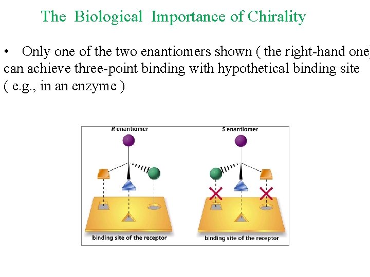 The Biological Importance of Chirality • Only one of the two enantiomers shown ( The Biological Importance of Chirality • Only one of the two enantiomers shown (