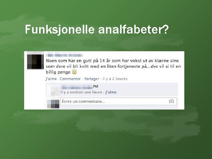 Funksjonelle analfabeter? 