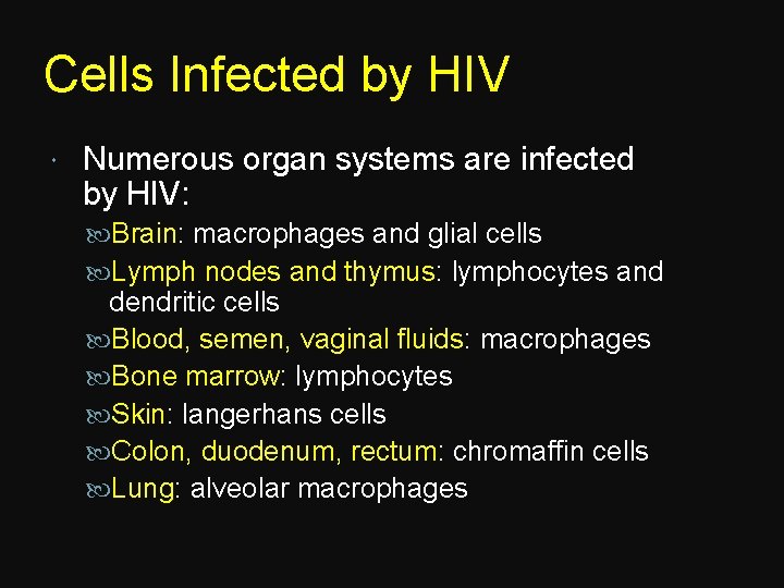 Cells Infected by HIV Numerous organ systems are infected by HIV: Brain: macrophages and