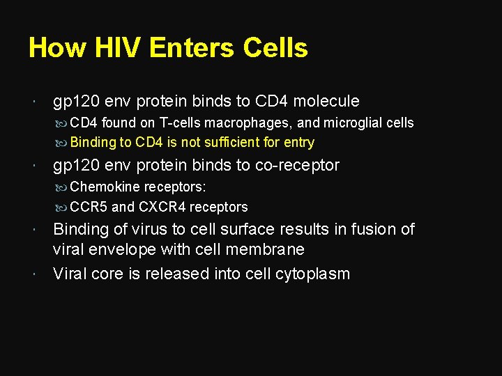 How HIV Enters Cells gp 120 env protein binds to CD 4 molecule CD