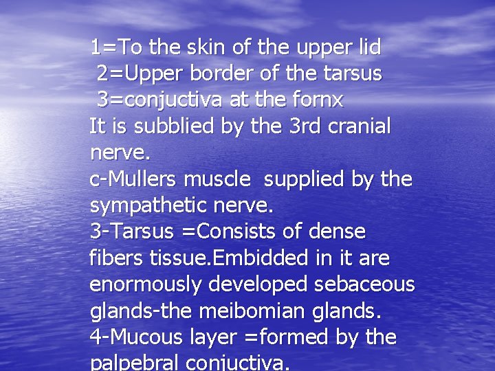 1=To the skin of the upper lid 2=Upper border of the tarsus 3=conjuctiva at